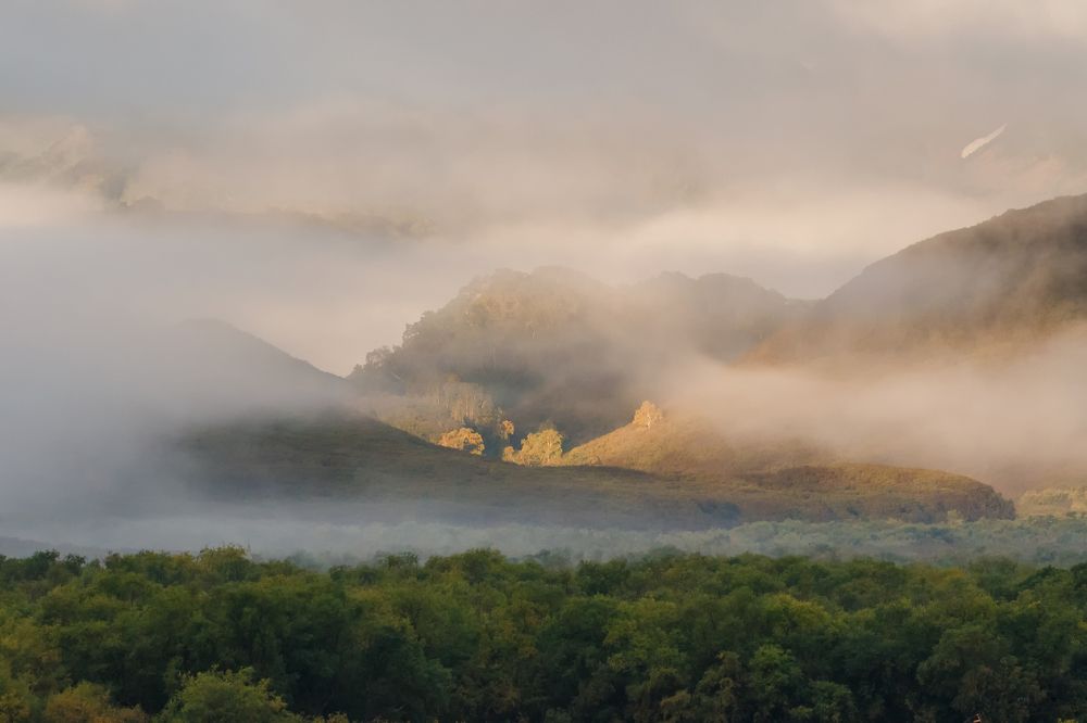 Утренний туман.