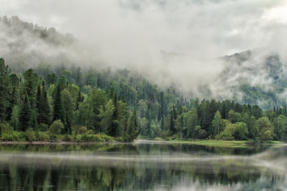 После грозы.