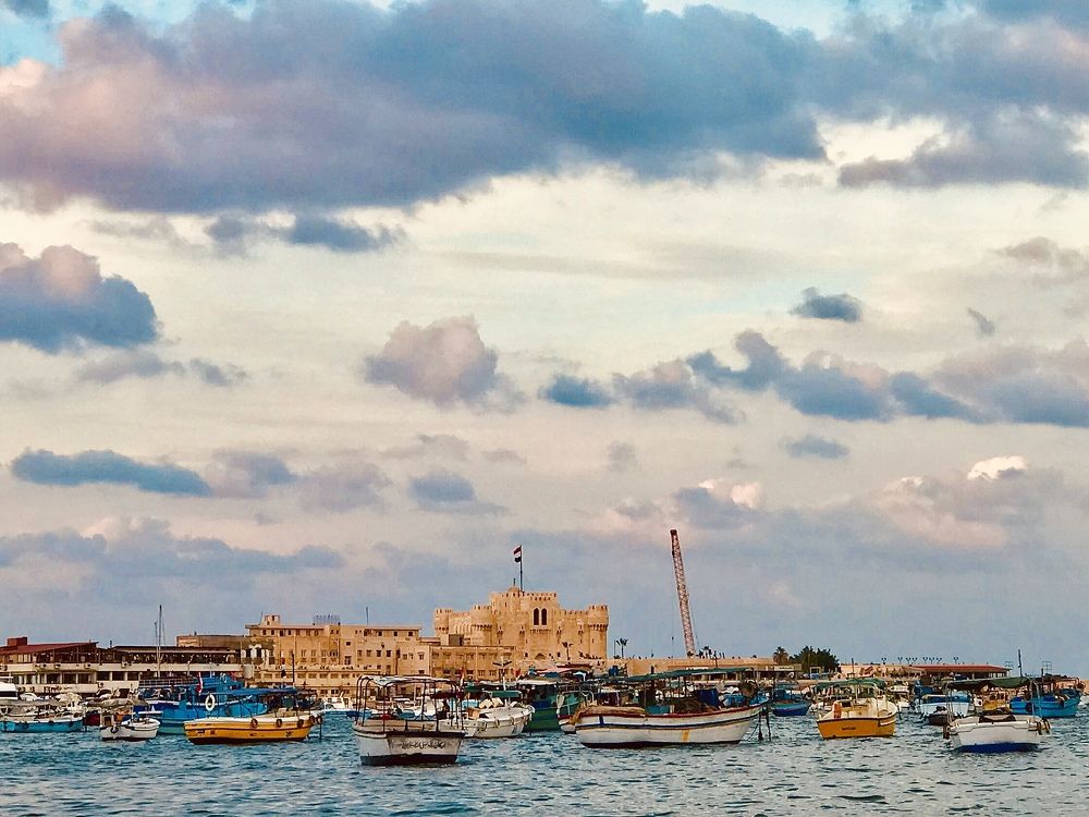 Фотография автора Hala ali