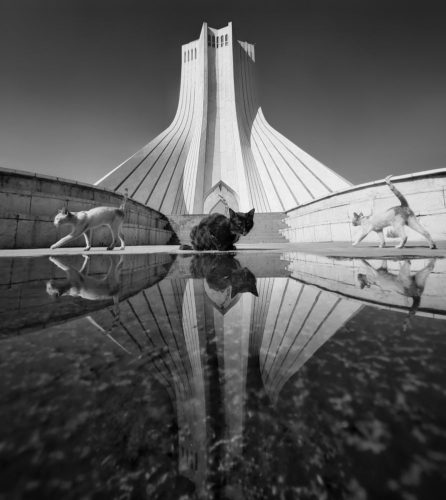 Photograph by Mohammad Jalilzadeh