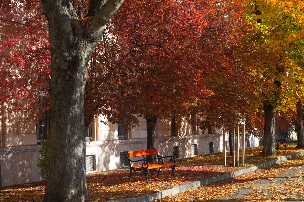 Photograph by Максим Захаров