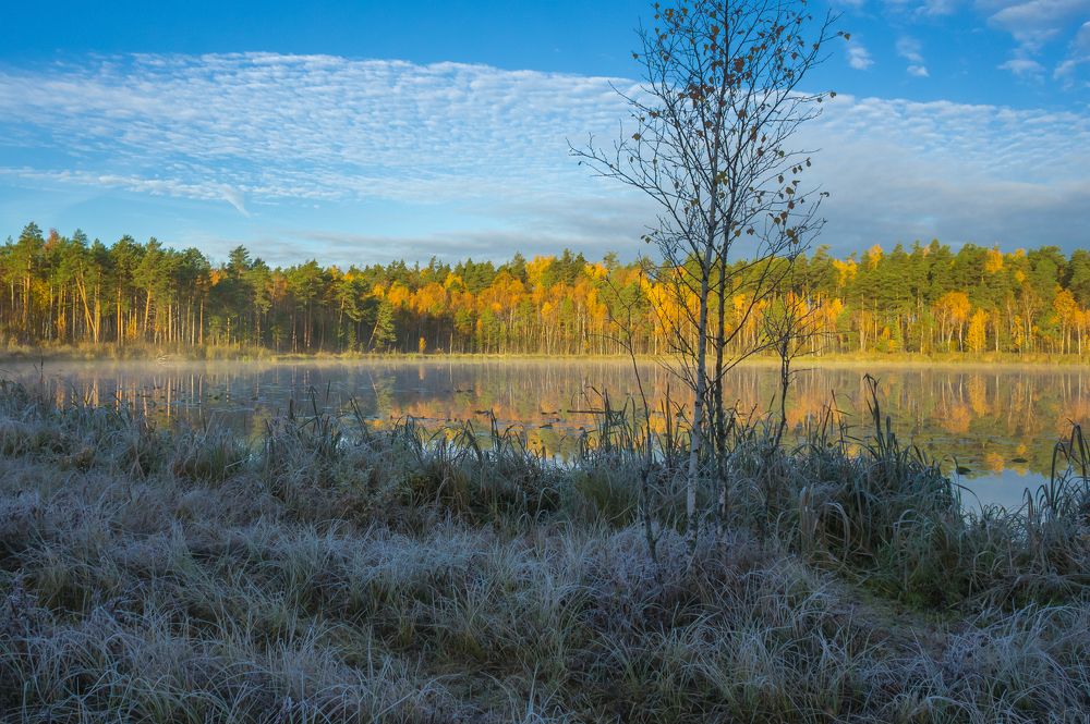 Photograph by Igor Andreev