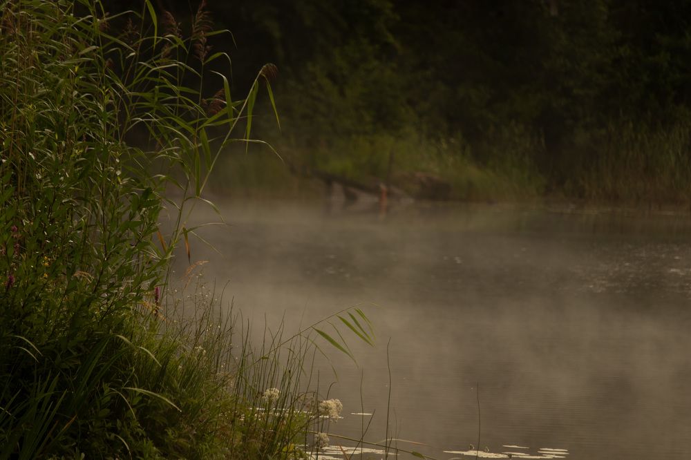 Photograph by Юлия Куликова