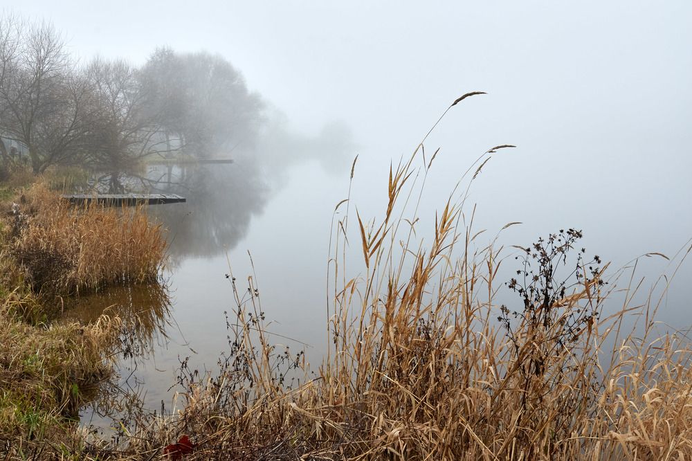 Туманное утро