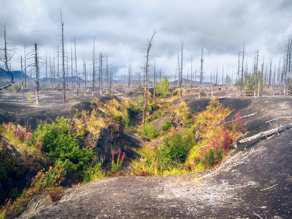 Photograph by Olga Yarovenko