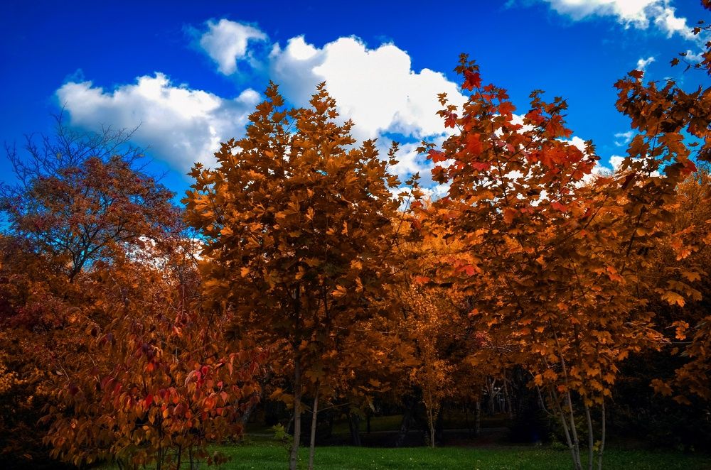 Photograph by Вероника Романенко