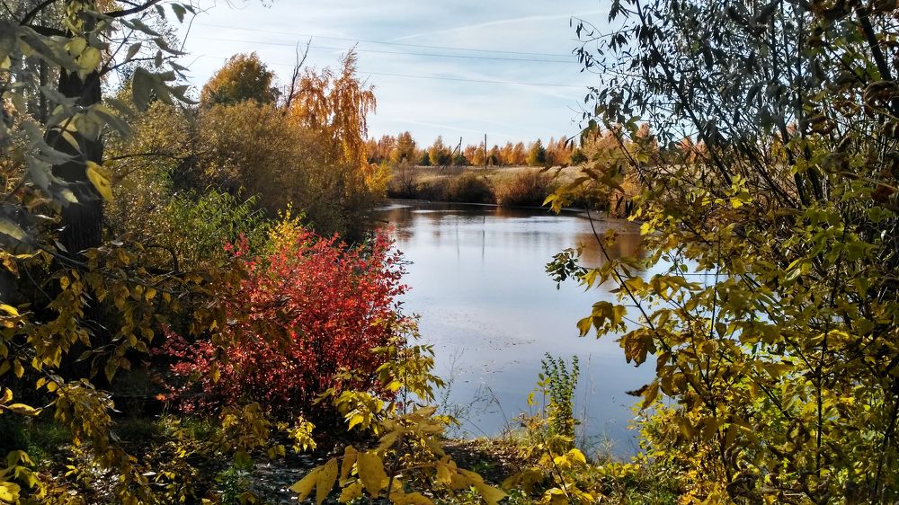 Photograph by Владимир Харчиков