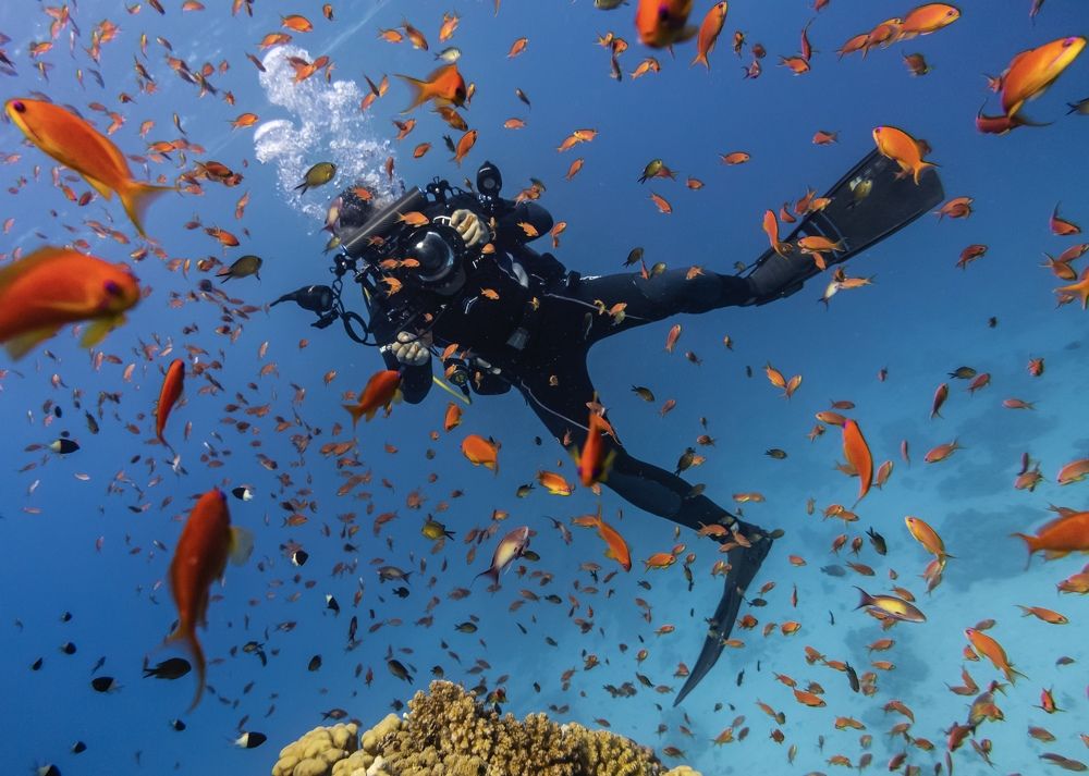 Фотография автора Rafał Ziach