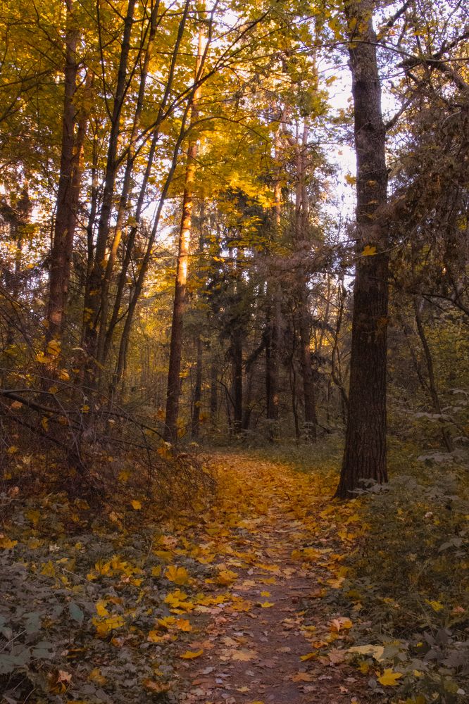 Photograph by Sylwia Wirkowska