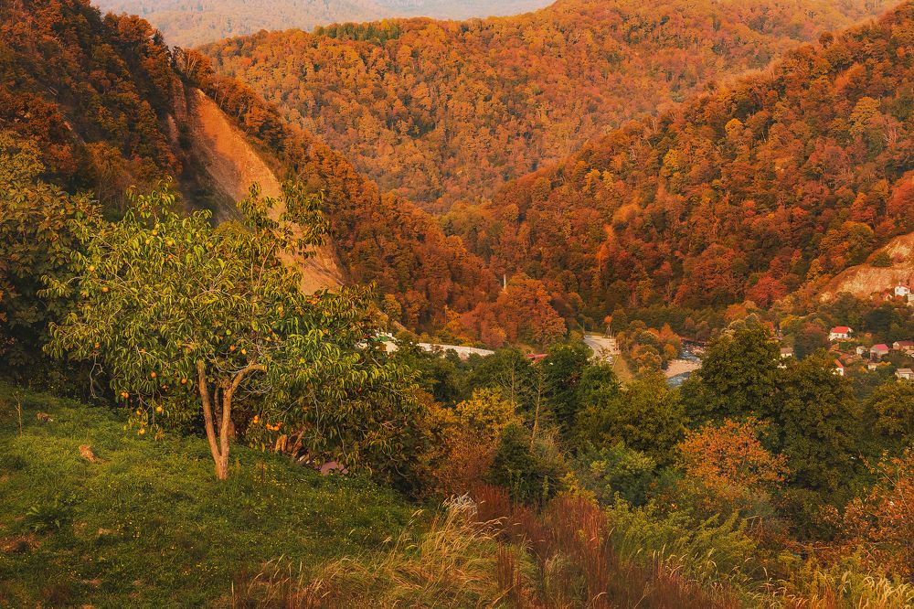 Photograph by Виталий Шкадинов