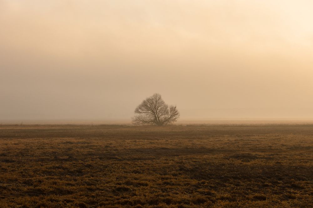 Photograph by Karina