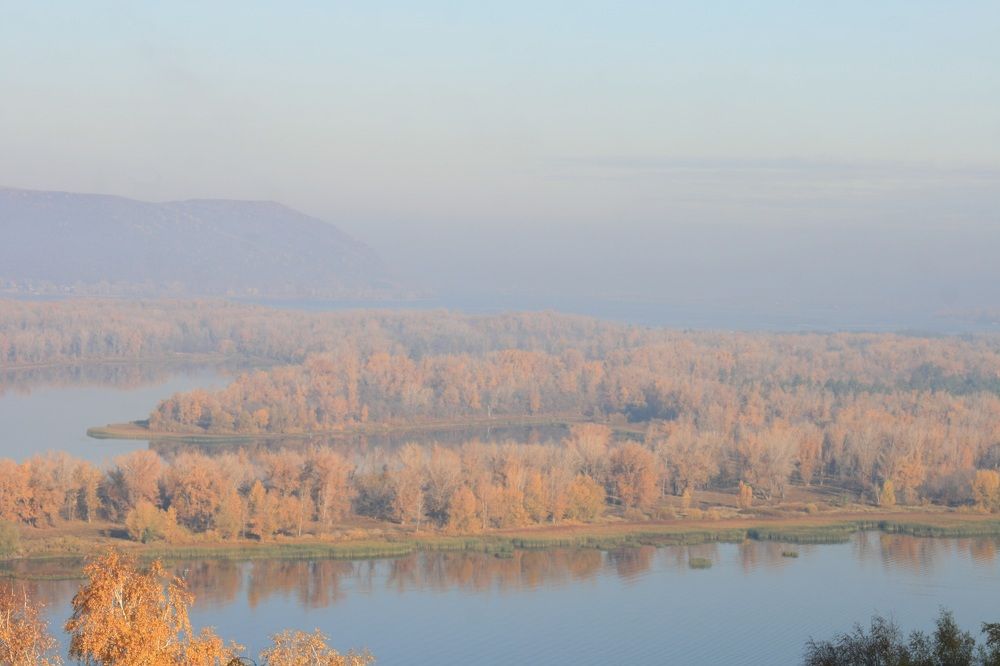 Фотография автора Татьяна Шебаршенко