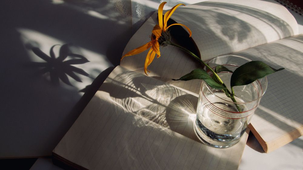 Школьная пора