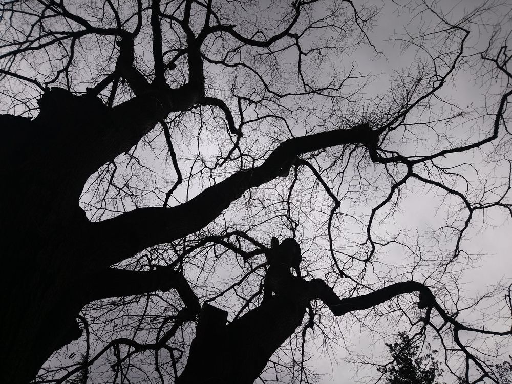 Photograph by Giorgi Shubitidze