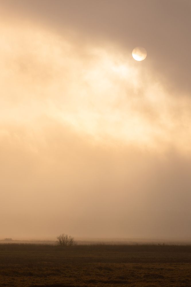 Photograph by Karina