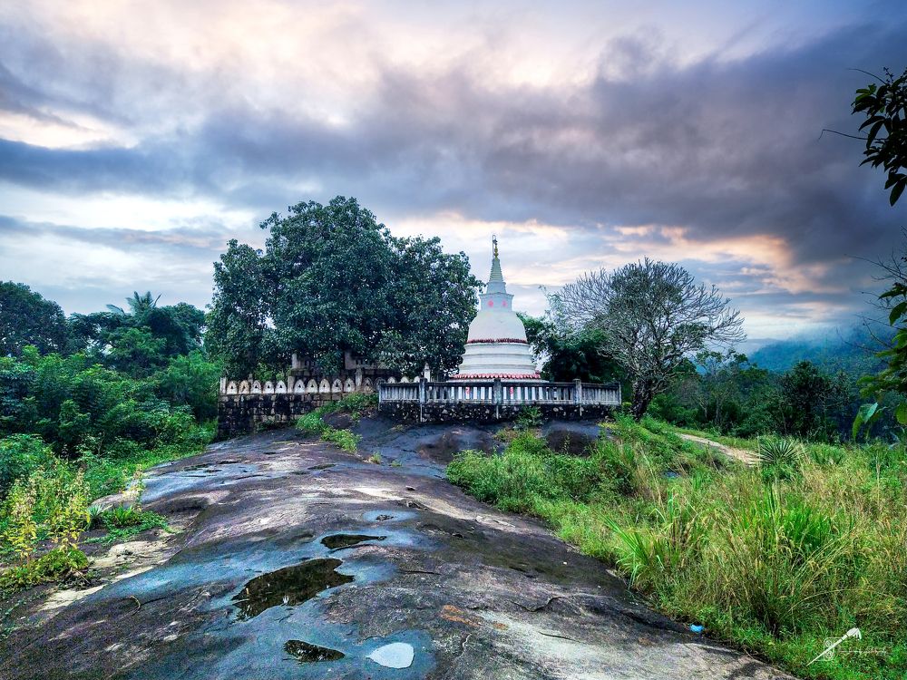 Photograph by Thisaru Dharmasri