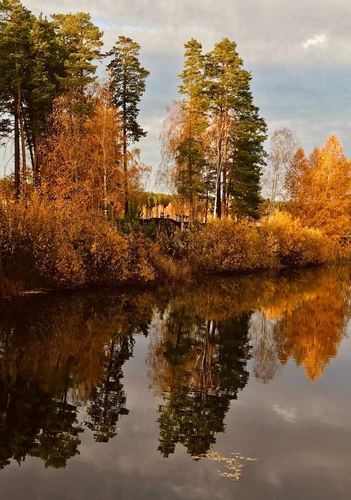 Фотография автора Евгений Степанов