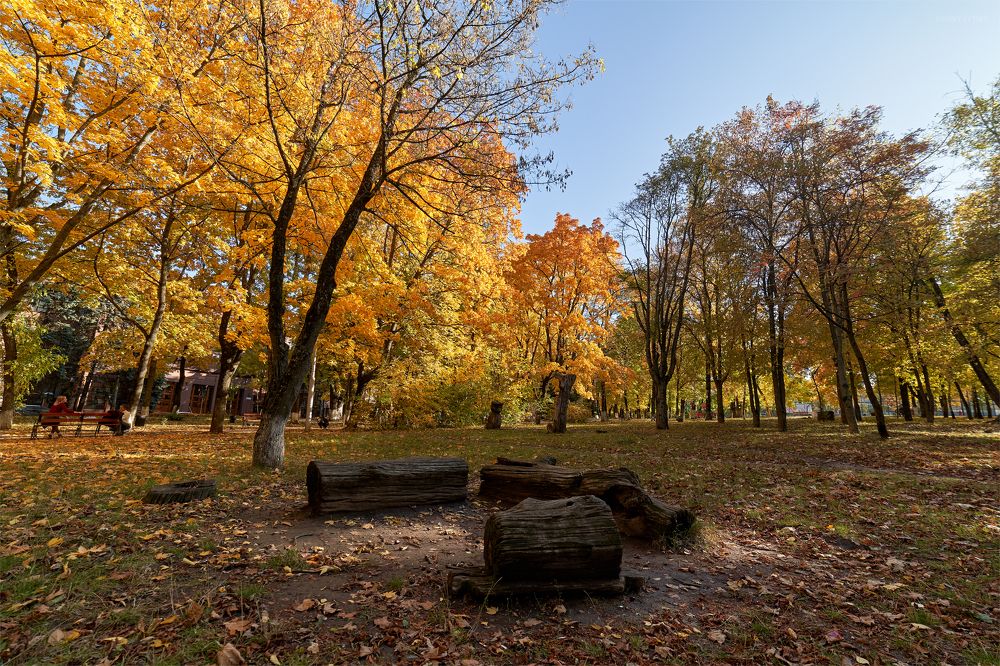 Photograph by Михаил Кудрявцев