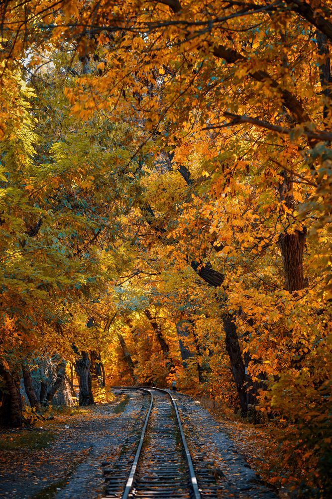 Photograph by Edgar Martirosyan