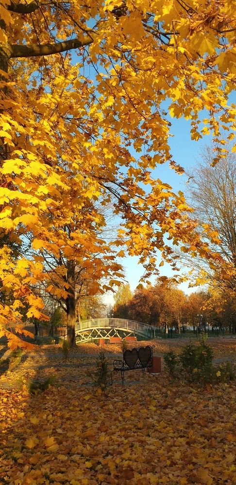 Photograph by Inna Kabanovich