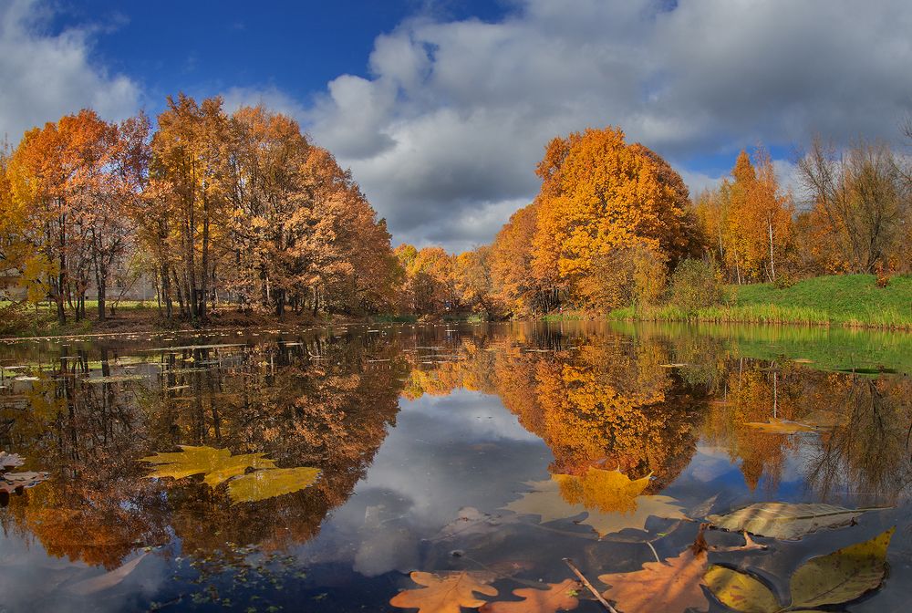 Photograph by Анатолий Плечистый