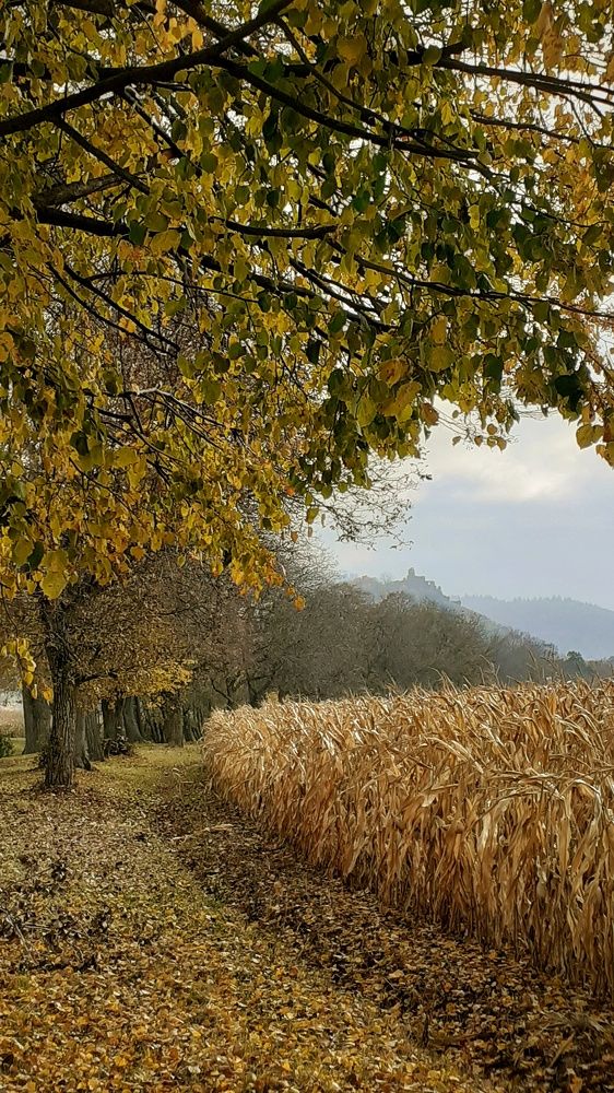 Photograph by Анастасия Ди Филиппо