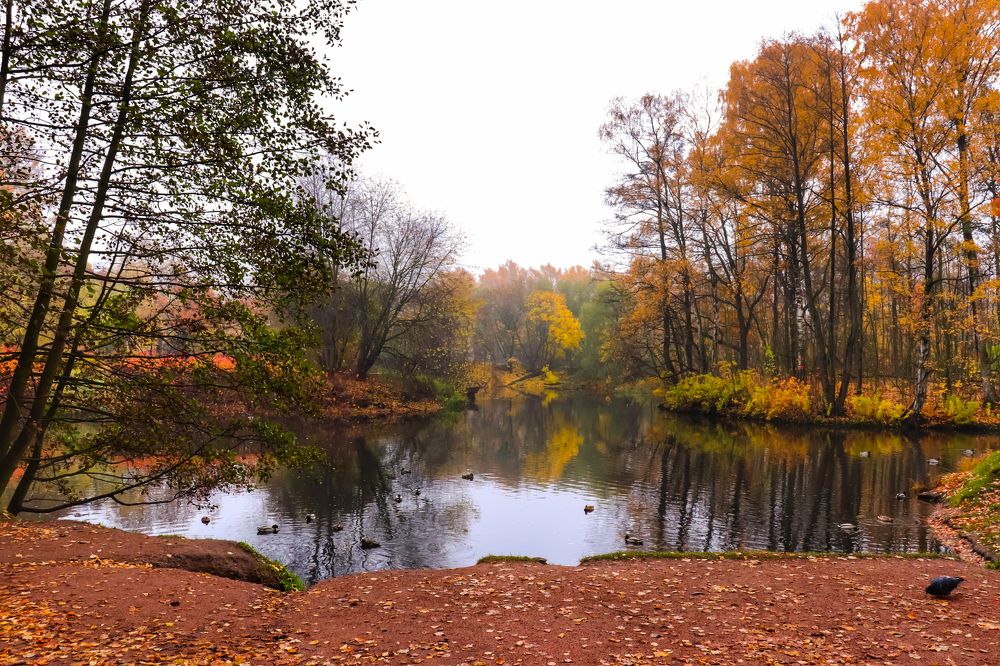 Отражение осени