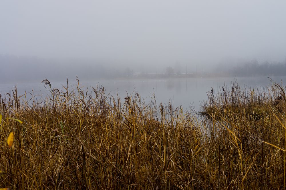 Photograph by Osvalds Kretainis