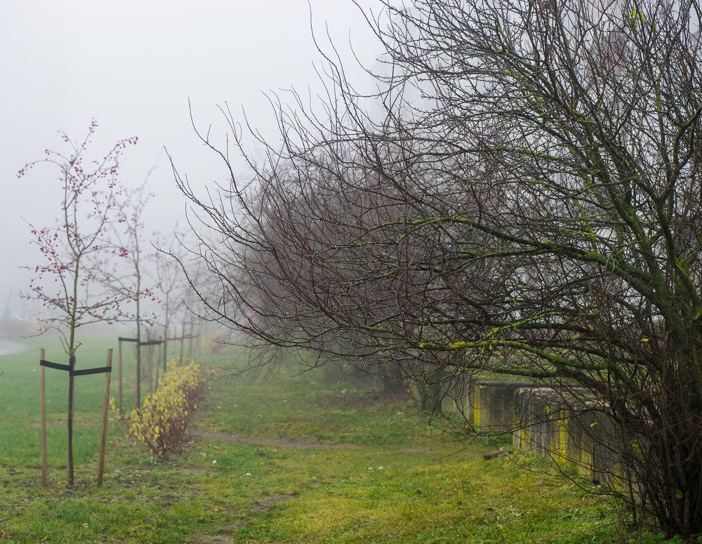 Photograph by Osvalds Kretainis