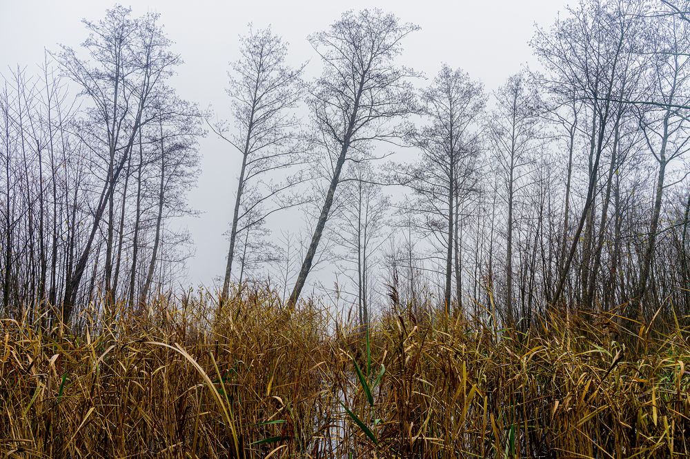 Photograph by Osvalds Kretainis