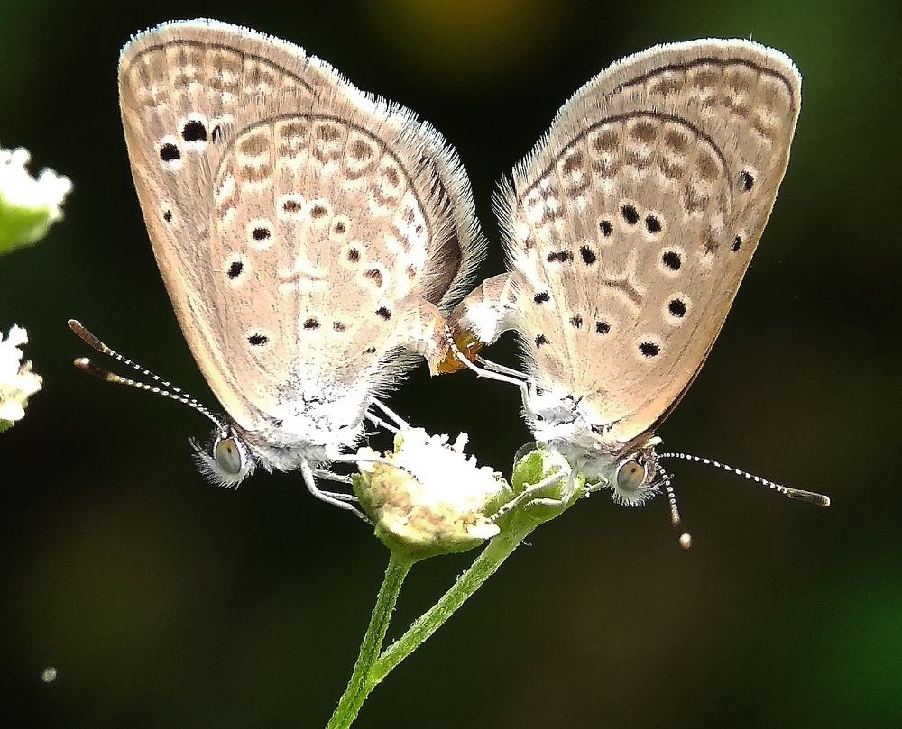 Photograph by Photography Debroto