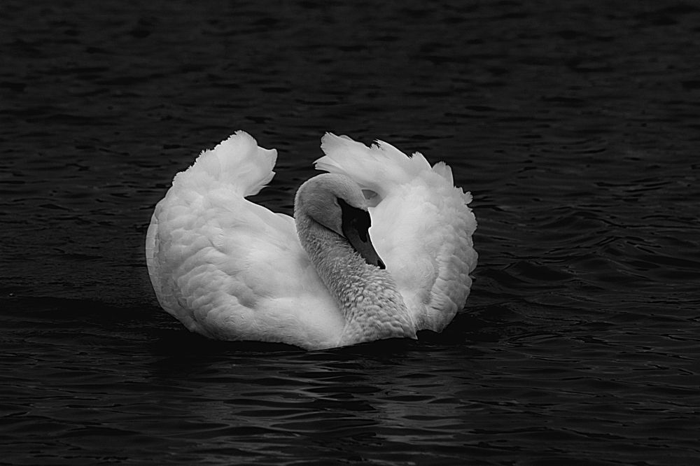 Photograph by Elena Khalizova