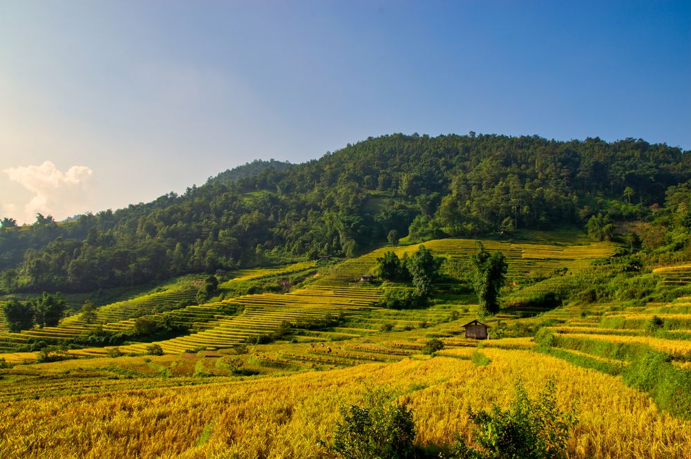 Фотография автора Trần Minh Thìn