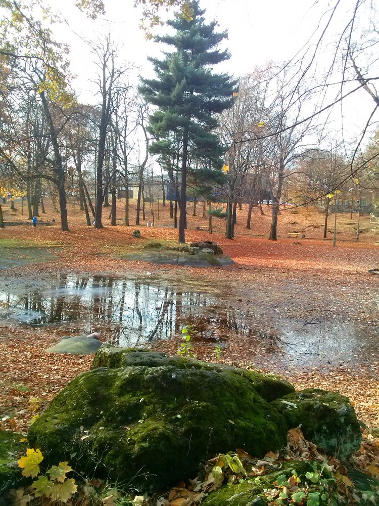 Photograph by Dariusz Gruszka