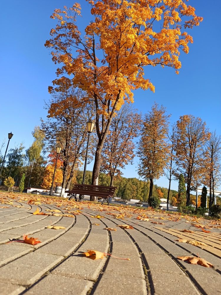 Photograph by Julia Tsyrkunova