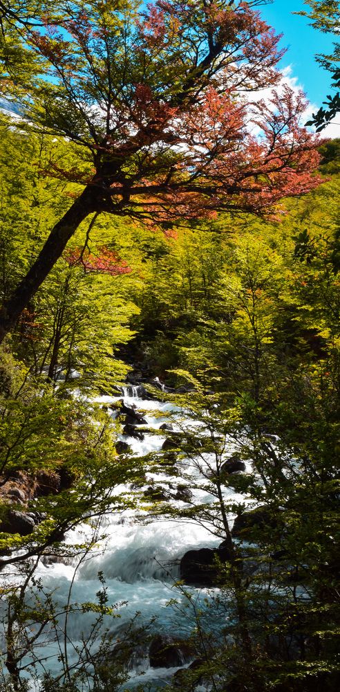 Photograph by Jean Cursino