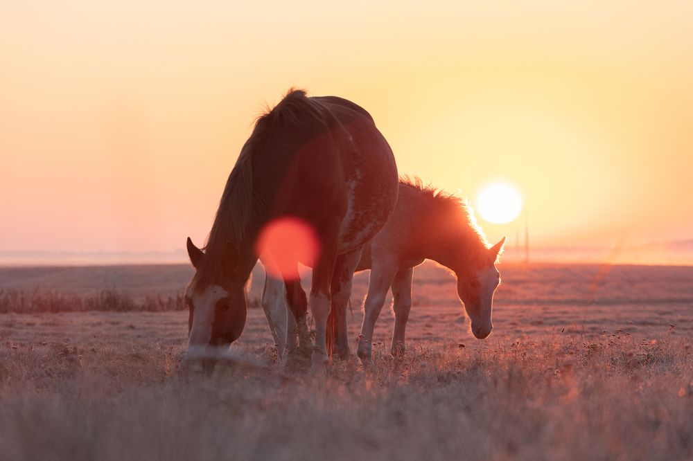 Photograph by Karina