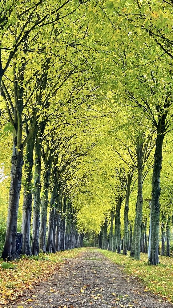 Photograph by Lila Sabbaghian Rad