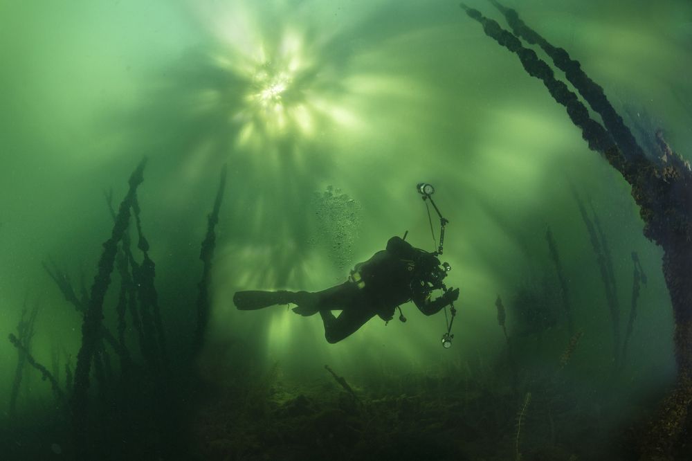 Photograph by Дериглазова Марина Владимировна