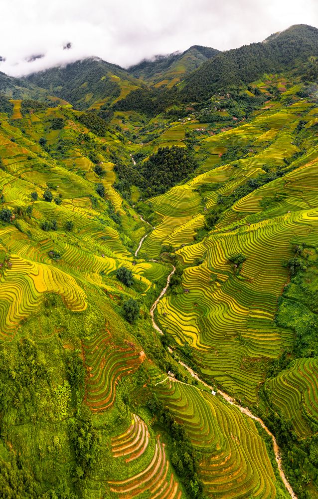 Photograph by Le Hoang Vu