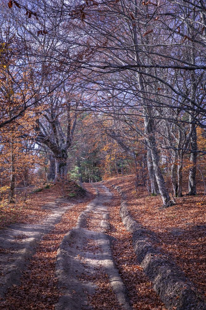 Photograph by Дмитрий Юдин