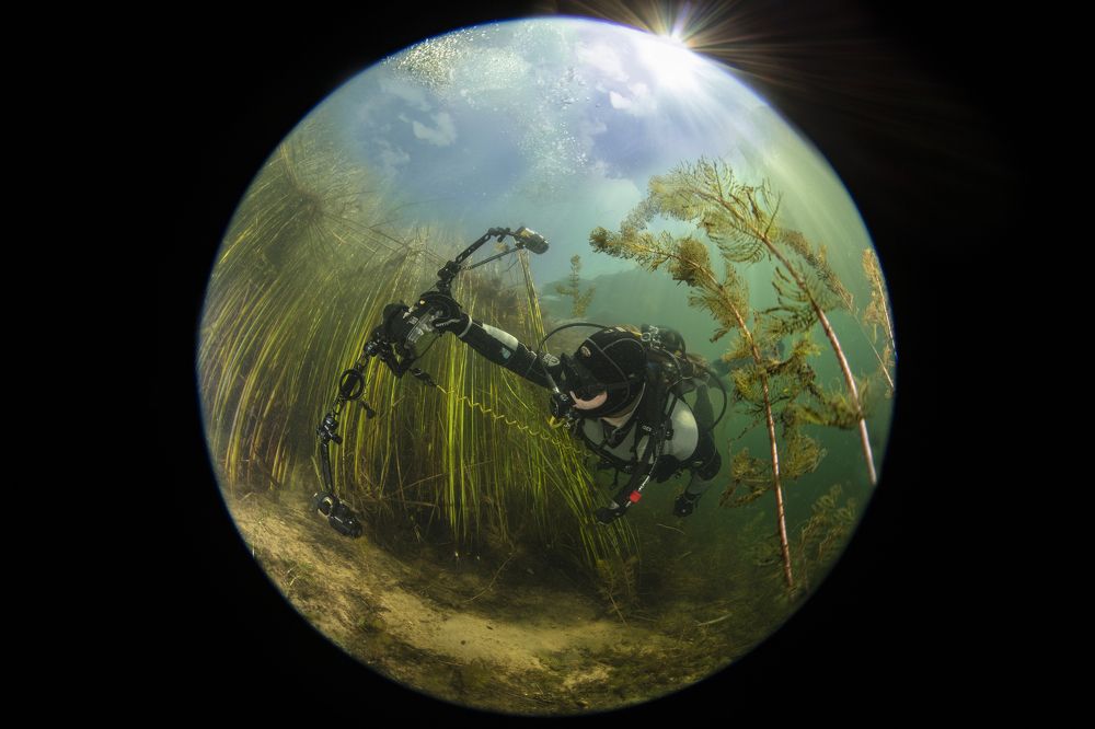 Photograph by Дериглазова Марина Владимировна