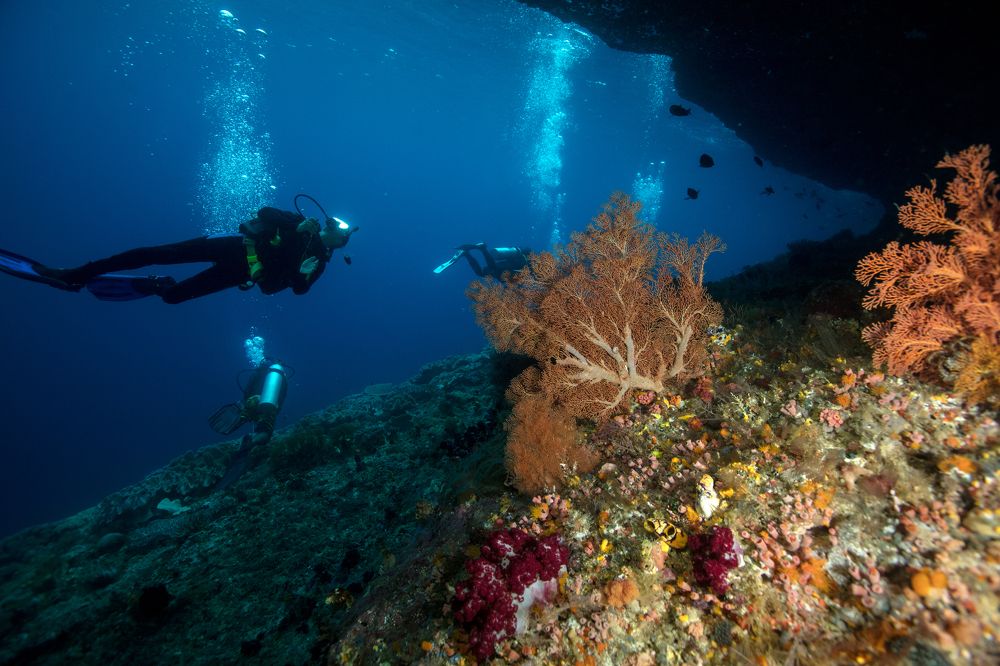 Photograph by Дериглазова Марина Владимировна