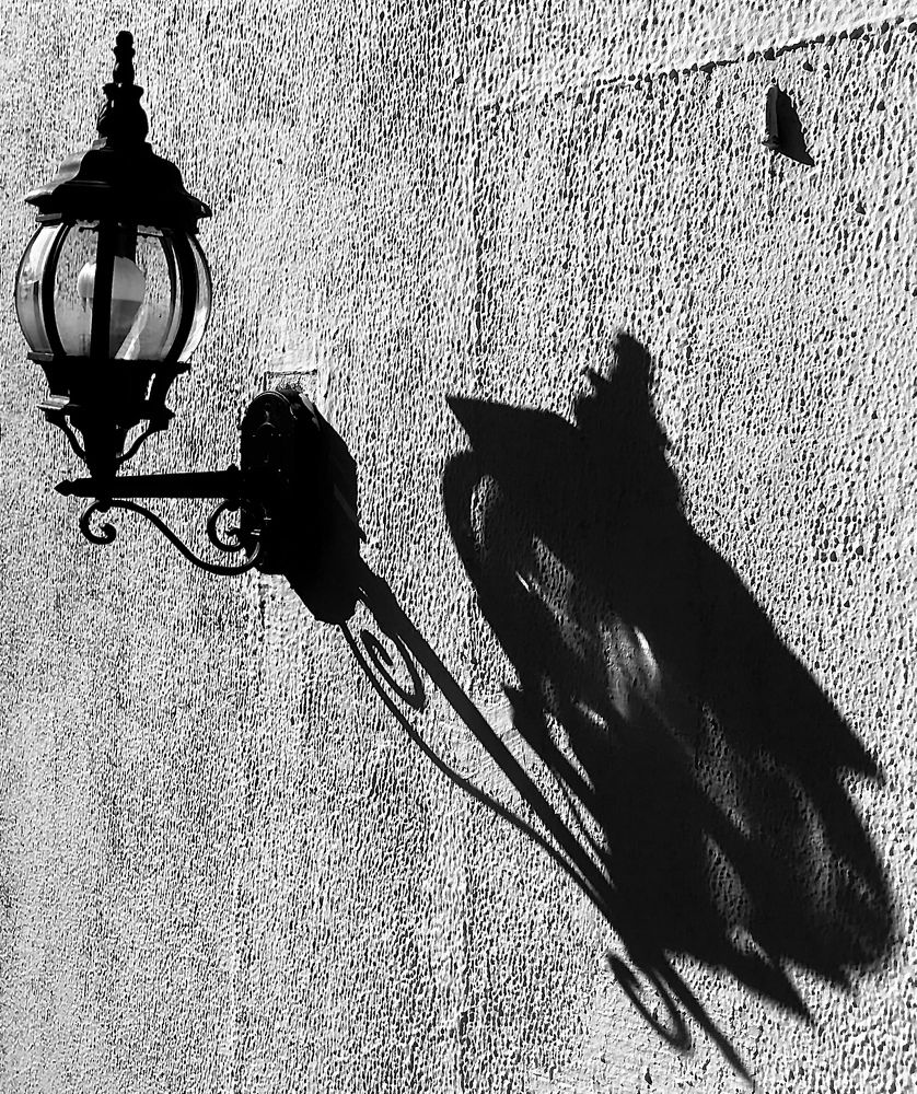 Фотография автора Евгений Степанов