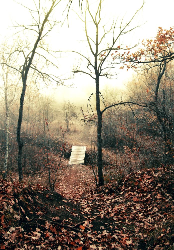 Photograph by Юлия