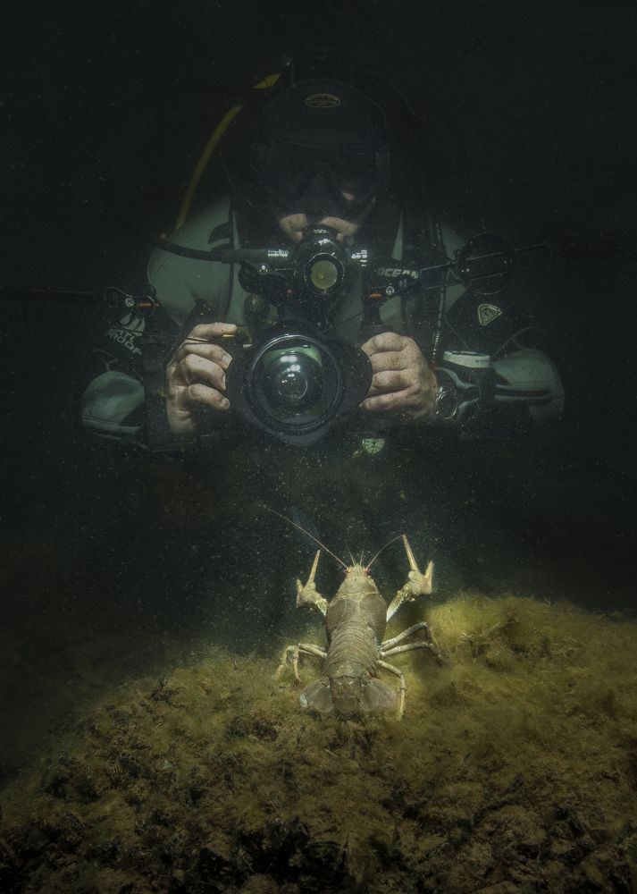 Photograph by Дериглазова Марина Владимировна
