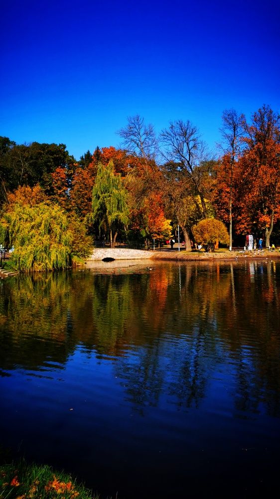 Осень в парке