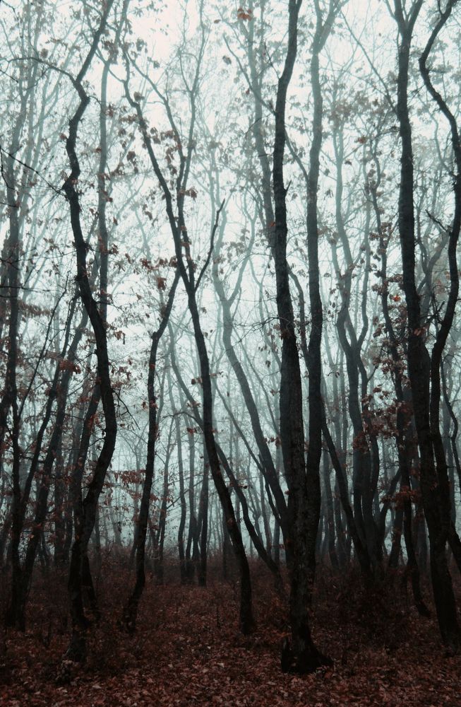 Photograph by Юлия