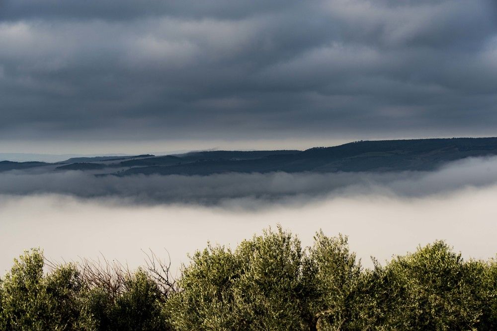 Фотография автора Nicola Lamanna