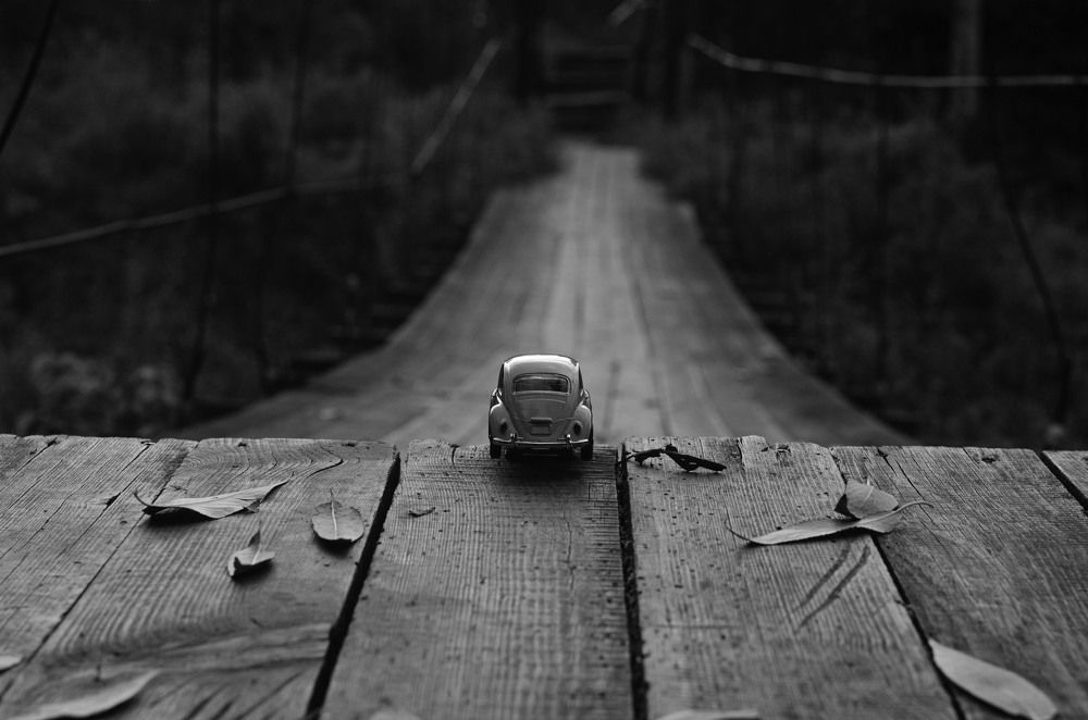 Photograph by Александра Гончаренко Александра Гончаренко